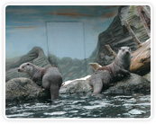 Zoo Ohrada Zoo Ohrada
